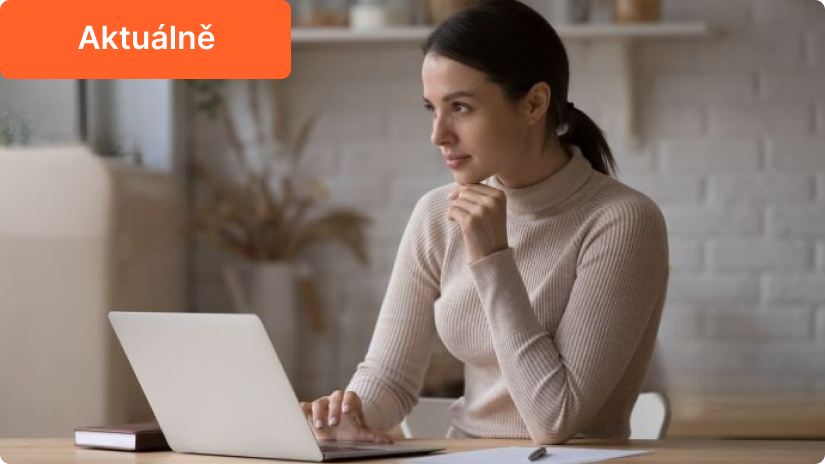 Online podvody (článek)