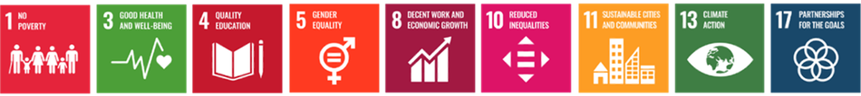 UN sustainable development goals