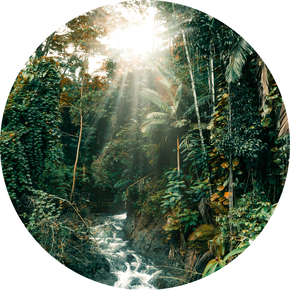 ERSTE WWF STOCK ENVIRONMENT