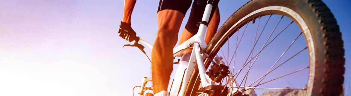 Bicykl