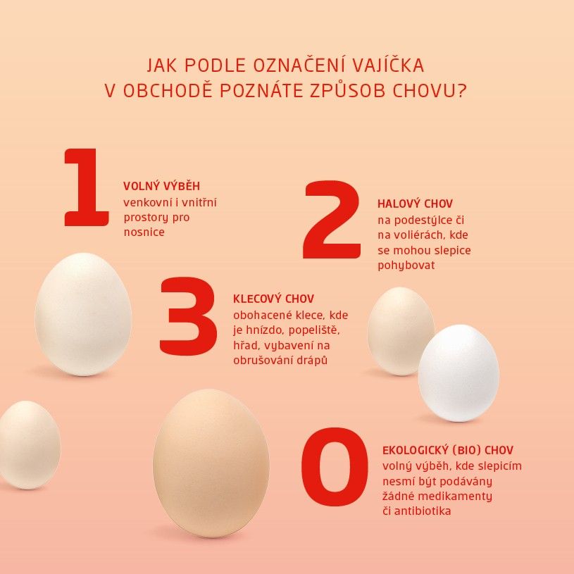 jak podle označení vajíčka poznat způsoob chovu