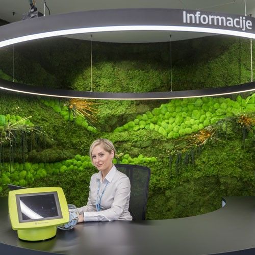 Erste informacije