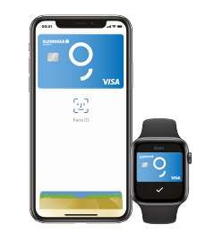 Apple Pay