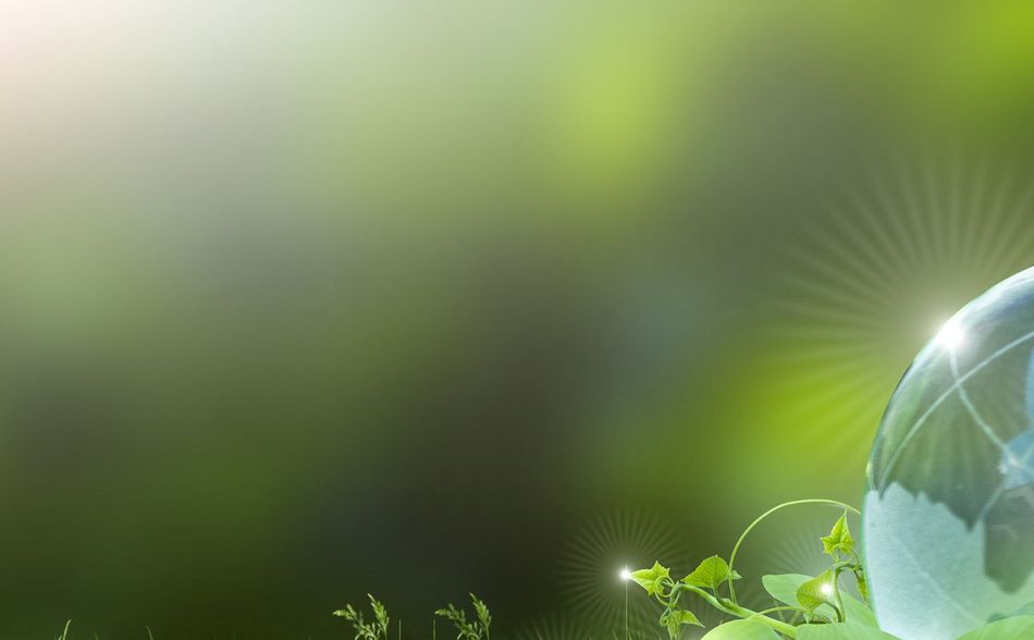 Renewable energy concept Earth Day or environment protection Hands protect forests that grow on the ground and help save the world.