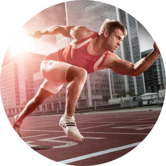 erste fixed income plus