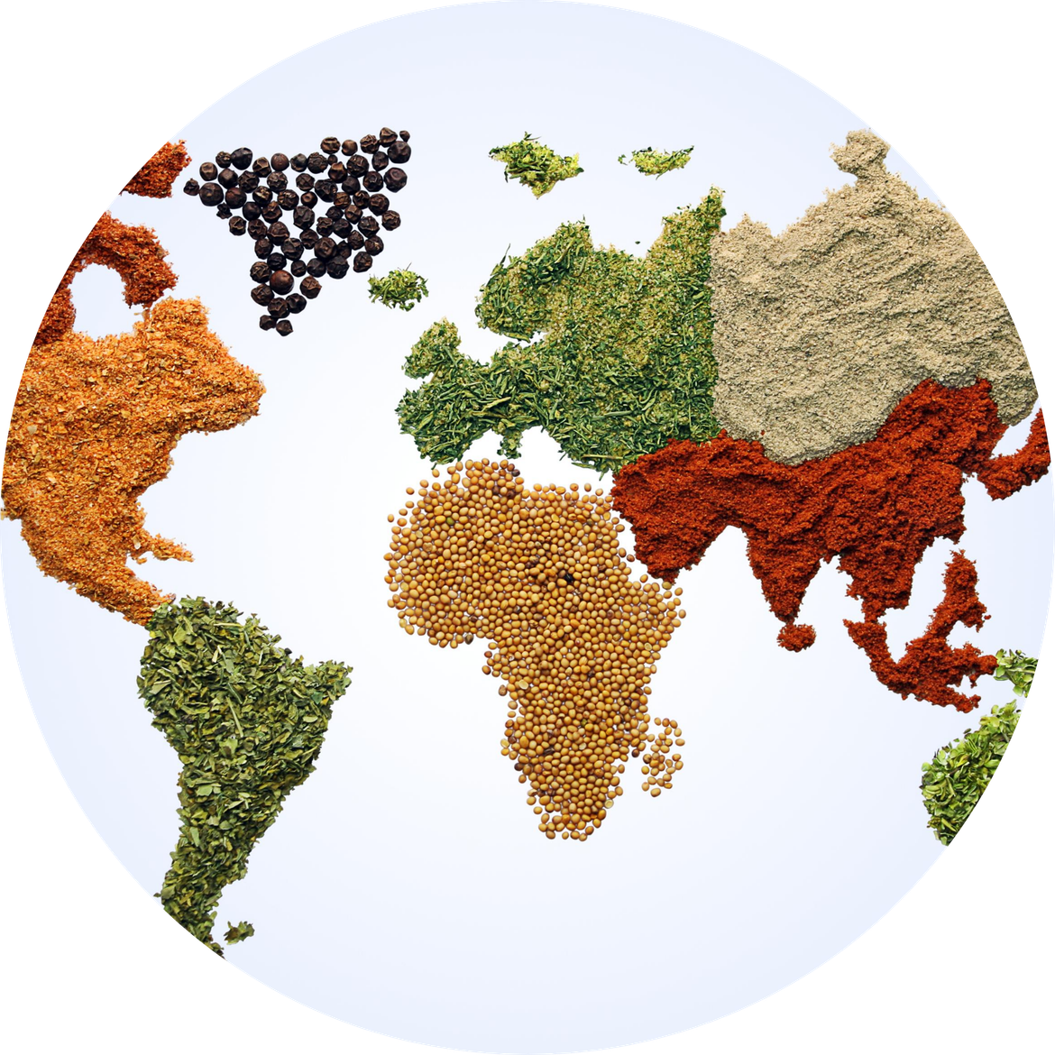ERSTE GLOBAL INCOME