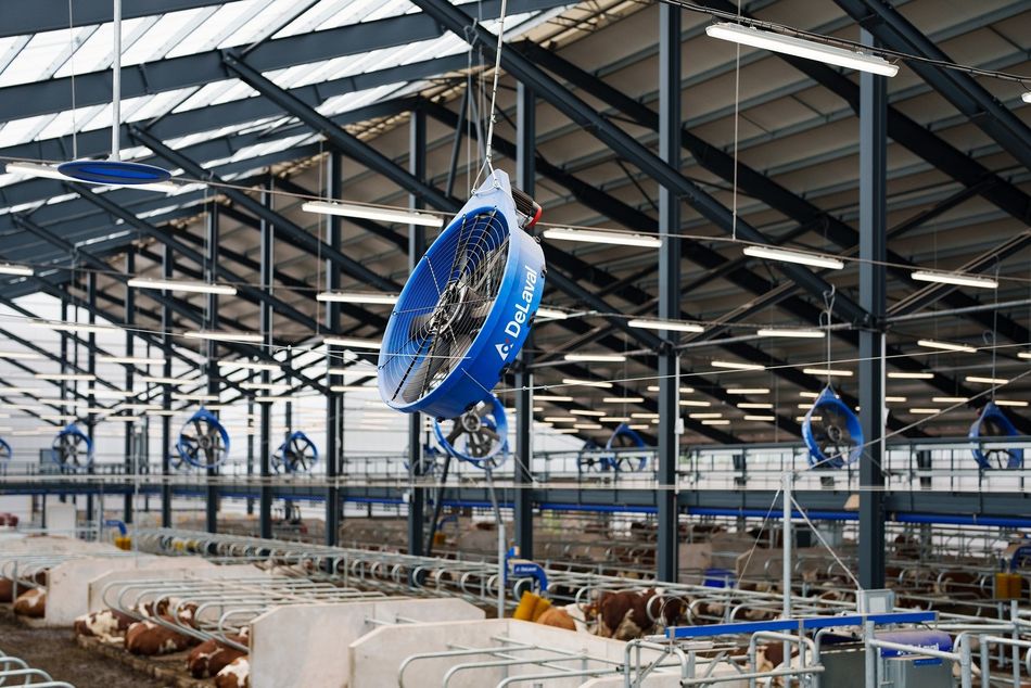 DS Agro – příběh firem ČS