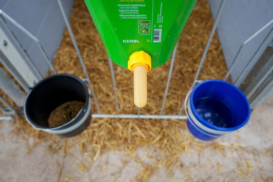 DS Agro – příběh firem ČS