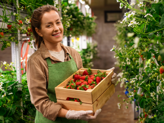 imagine agricultura