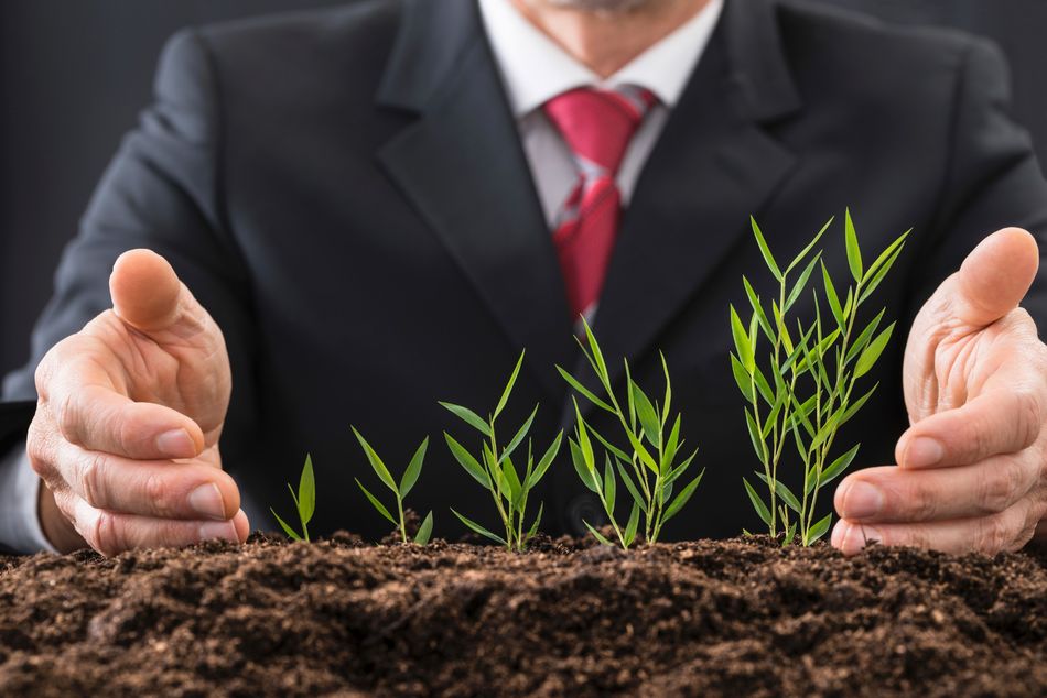 Businessman Protecting Plants Strategiefonds
