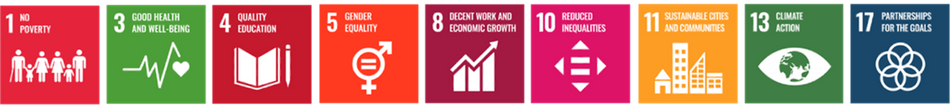 UN sustainable development goals