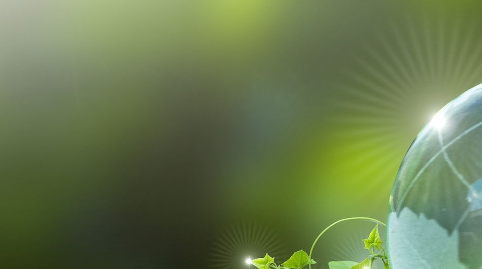 Renewable energy concept Earth Day or environment protection Hands protect forests that grow on the ground and help save the world.