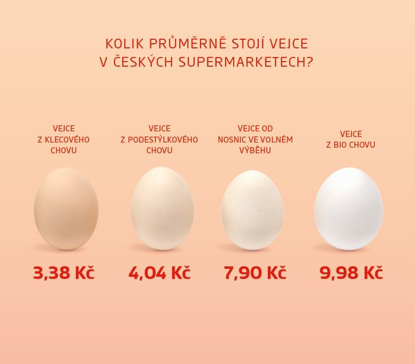 jak se v česku chovají slepice
