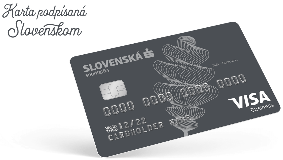 Visa Business payment card