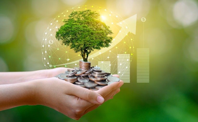 The green money journal socially responsible investing no luck in forex