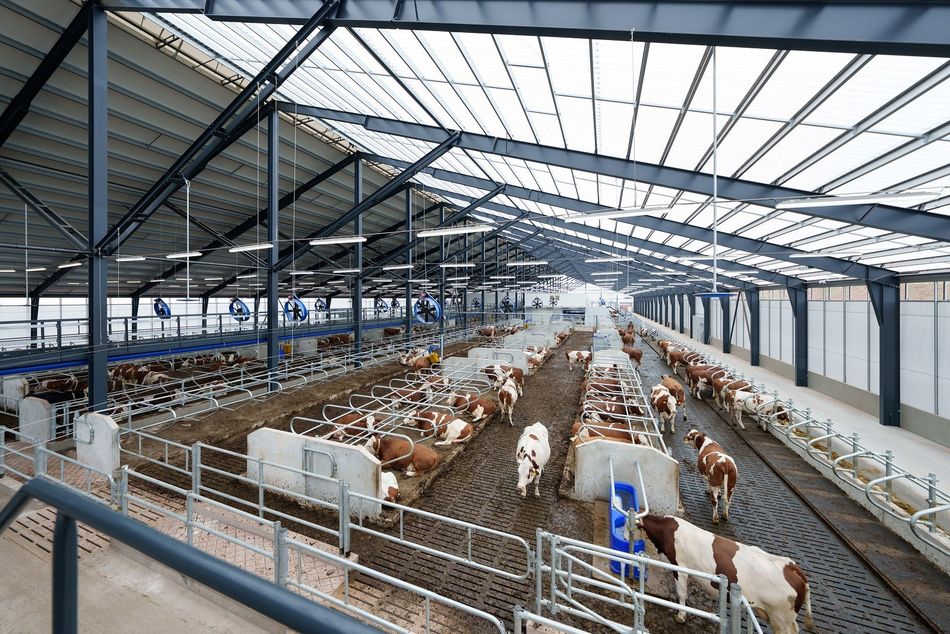 DS Agro – příběh firem ČS