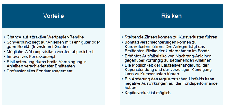 Vorteile & Risiken