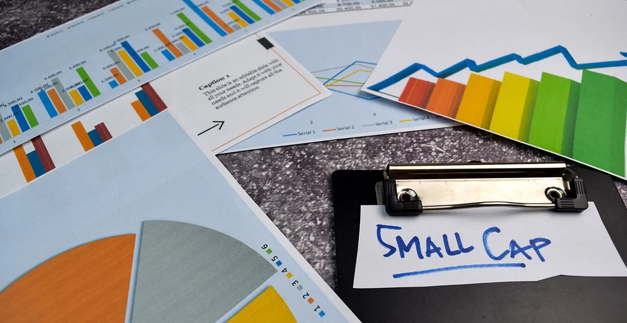 Das Wort Small Cap händisch geschrieben auf einer Haftnotiz, die auf einem Schreibtisch liegt