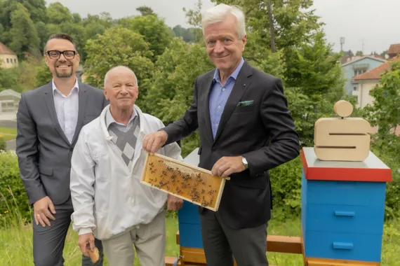 Drei Männer stehen vor Bienenstöcken