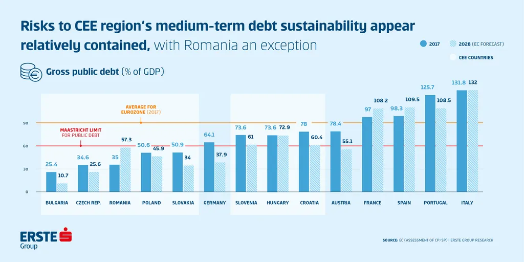 Gross public debt
