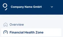 Financial Health Zone in the gEorge Business left-side navigation