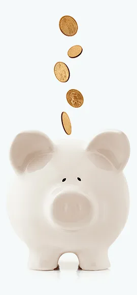 plan economii
