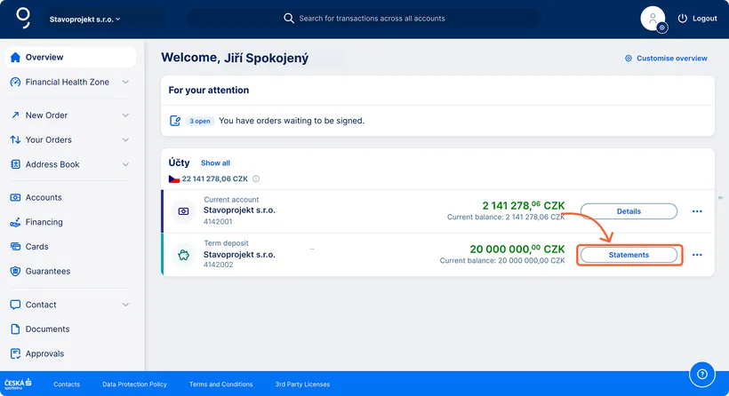 Statements entry point