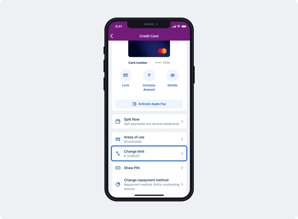 Credit card limit in functions
