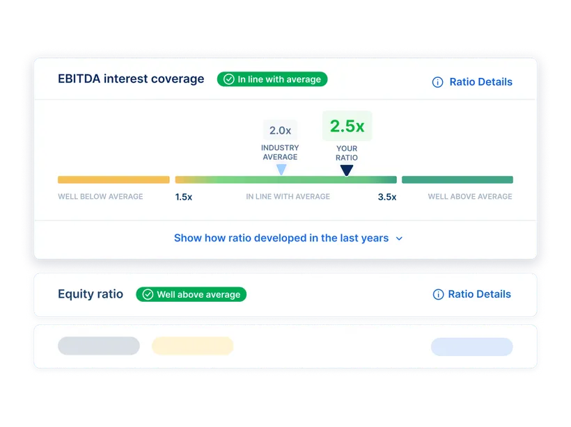 Financial ratios in detail