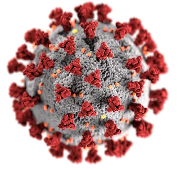 Koronavirus