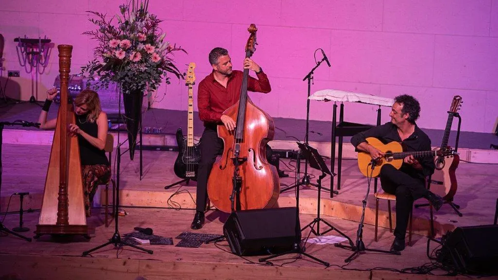 drei Personen an der Harfe, Kontrabass und Gitarre in lila Scheinwerferlicht