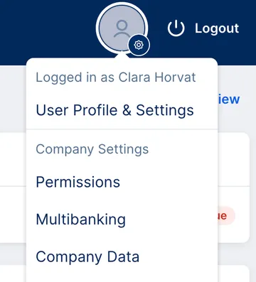 User profile for admin - profile settings, permissions, multibanking, company data