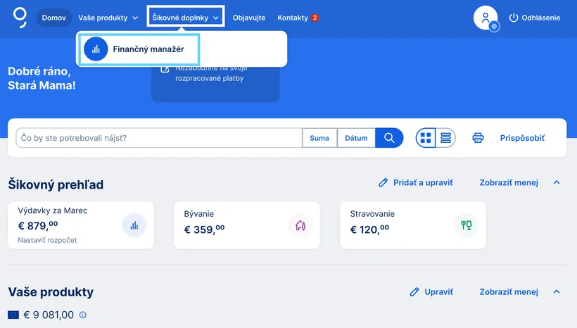 finančný manažér web