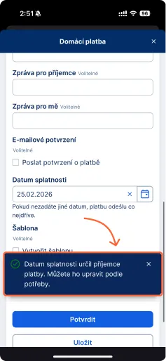 Detail nové jednorázové platby