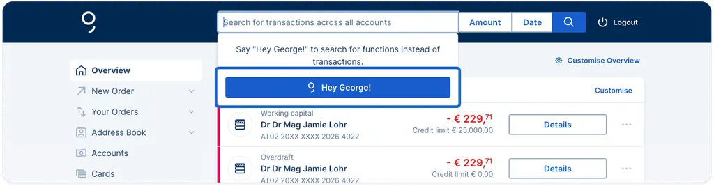 The top header search bar including the shortcut to Hey George!