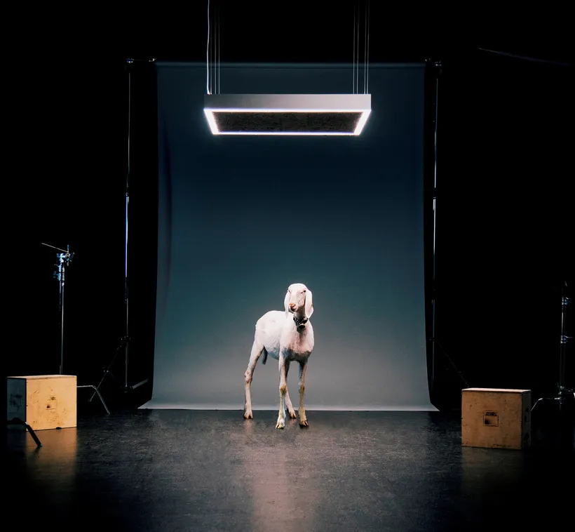 Das Startmotiv macht neugierig auf die neue Sparkasse-Schwaz-Kampagne