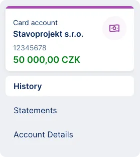 Card account detail