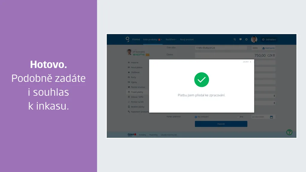 Jak založím trvalou platbu v Georgi krok 8