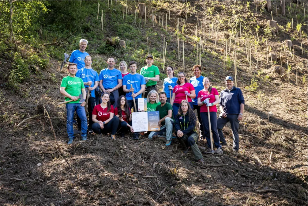 Sustainability Officer