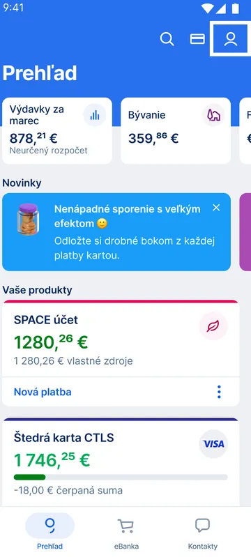 Profil - ikona Panáčika