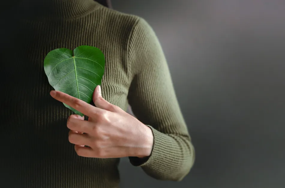 Recyklace plastů