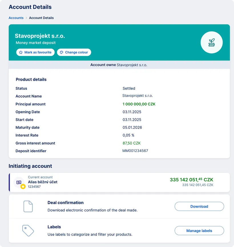 Money Market account detail