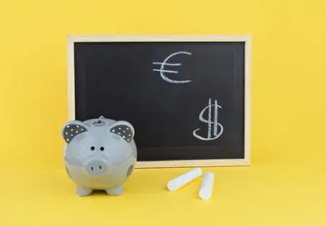 bildung
